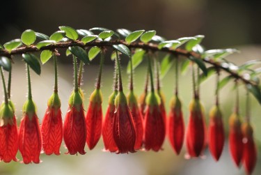 中山西区6私人快速借钱网，轻松解决资金难题