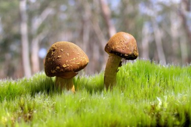 中山西区6私人老板放款：轻松融资的秘密通道